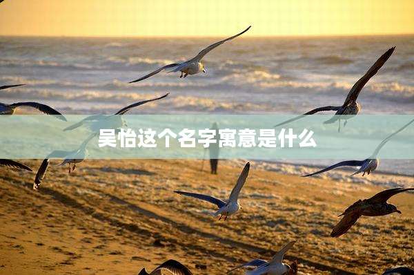 吴怡这个名字寓意是什么