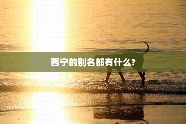 西宁的别名都有什么?