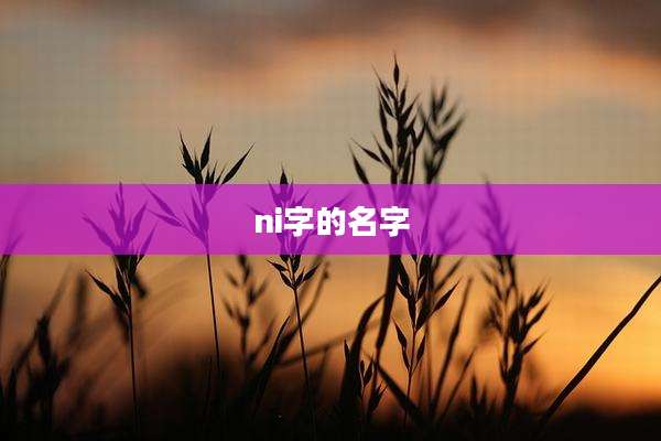 ni字的名字