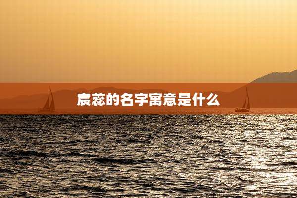 宸蕊的名字寓意是什么