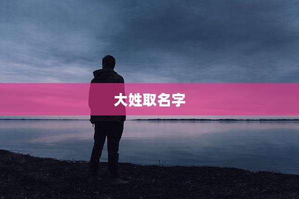 大姓取名字
