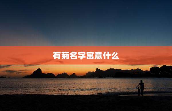 有菊名字寓意什么