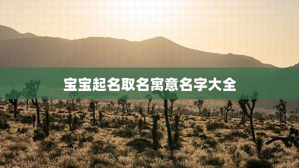 宝宝起名取名寓意名字大全