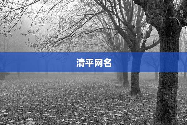清平网名