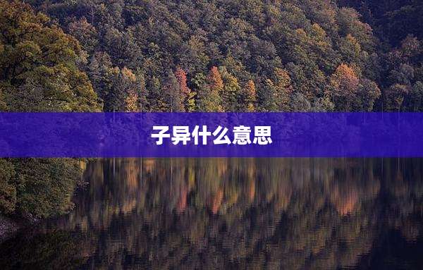 子异什么意思