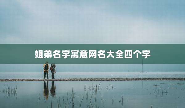 姐弟名字寓意网名大全四个字