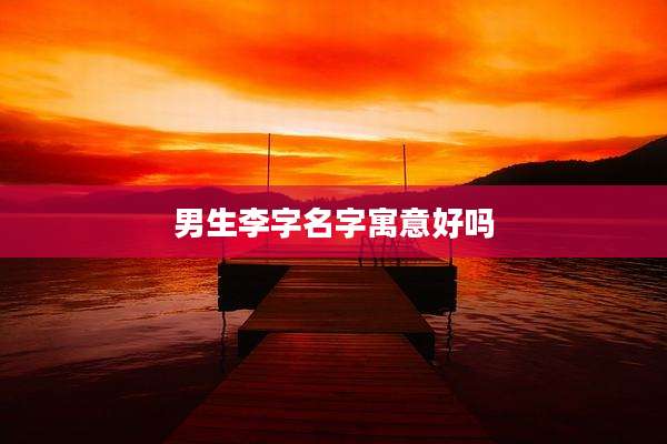 男生李字名字寓意好吗