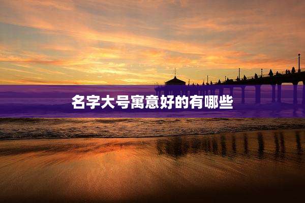 名字大号寓意好的有哪些