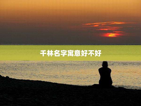 千林名字寓意好不好