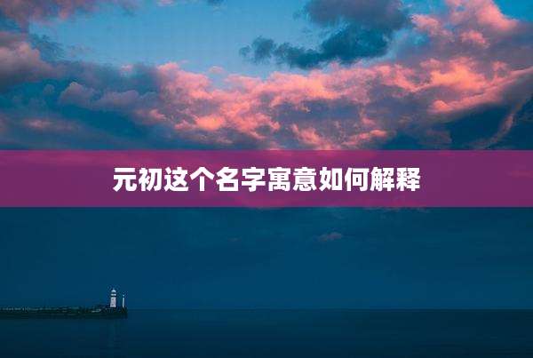 元初这个名字寓意如何解释
