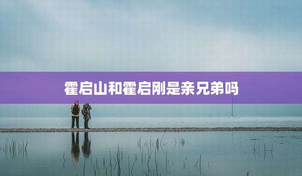 霍启山和霍启刚是亲兄弟吗