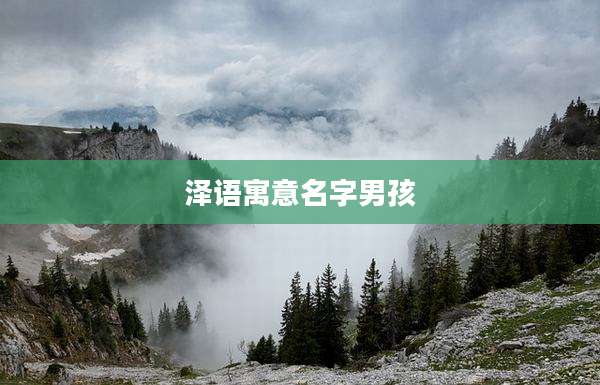泽语寓意名字男孩