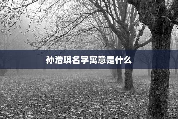孙浩琪名字寓意是什么