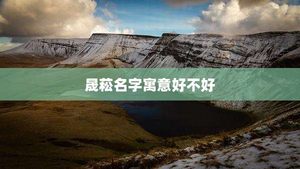 晟菘名字寓意好不好