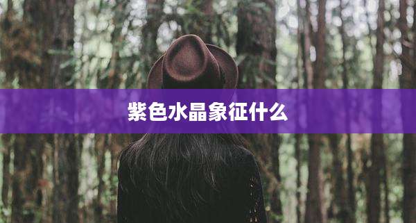 紫色水晶象征什么