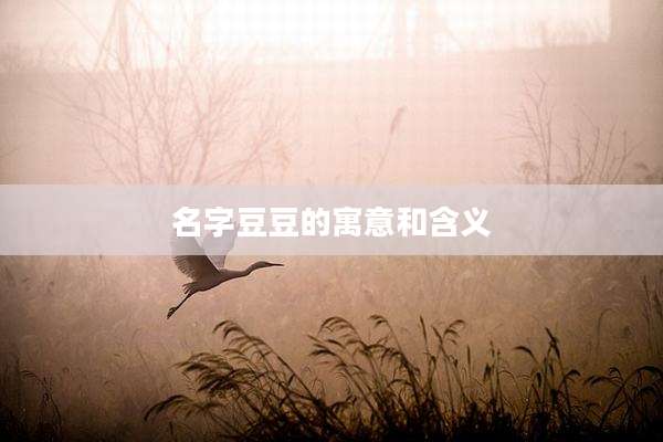 名字豆豆的寓意和含义