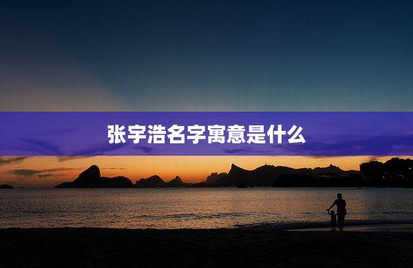 张宇浩名字寓意是什么