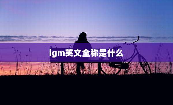 igm英文全称是什么