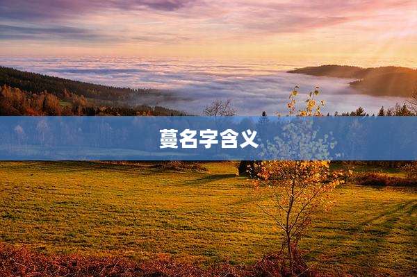 蔓名字含义