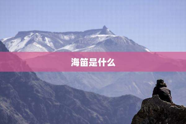 海笛是什么