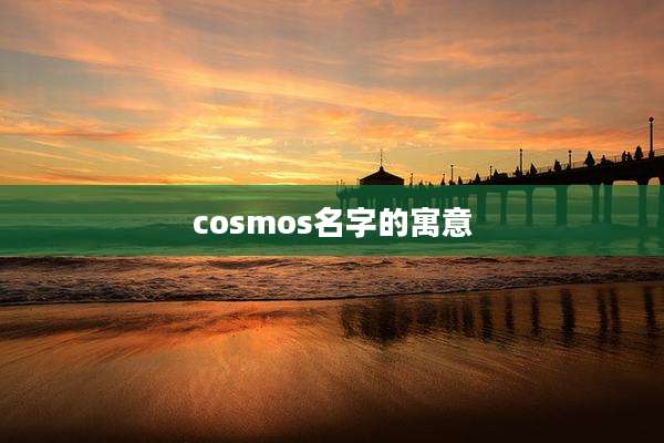 cosmos名字的寓意