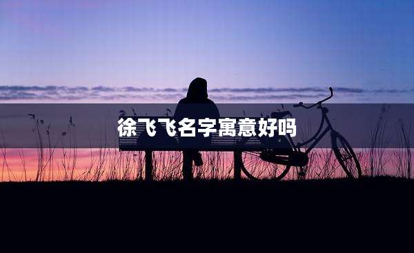 徐飞飞名字寓意好吗