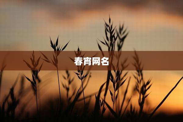 春宵网名