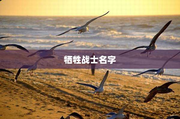 牺牲战士名字