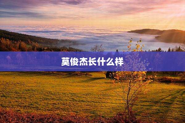 莫俊杰长什么样