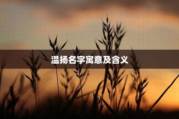 温扬名字寓意及含义