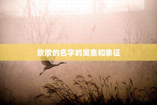 欣欣的名字的寓意和象征