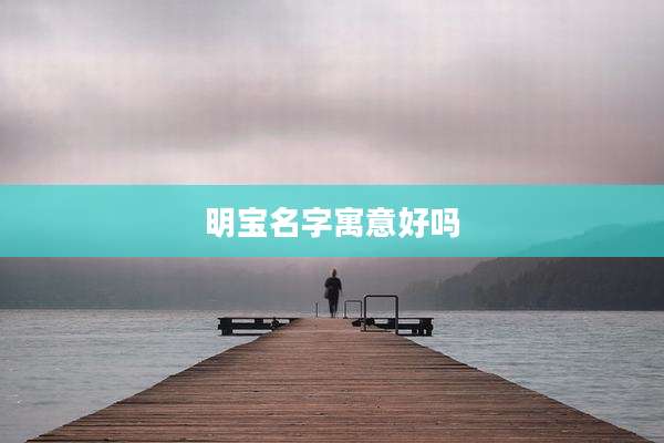 明宝名字寓意好吗