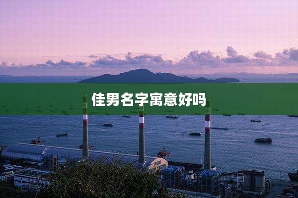 佳男名字寓意好吗