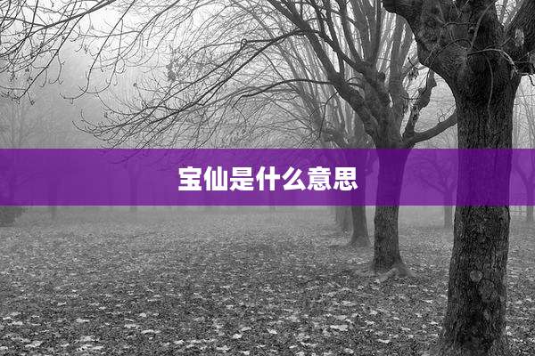 宝仙是什么意思
