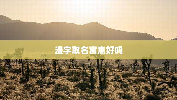 漫字取名寓意好吗