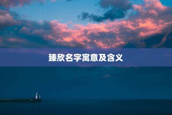 臻欣名字寓意及含义