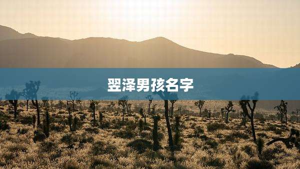 翌泽男孩名字