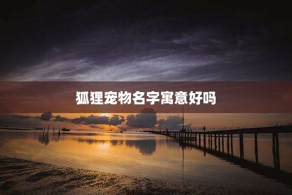 狐狸宠物名字寓意好吗