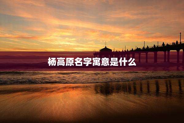 杨高原名字寓意是什么