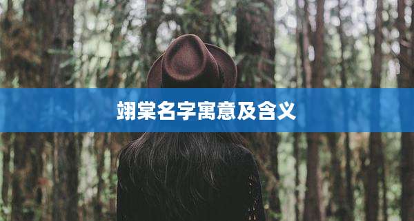 翊棠名字寓意及含义