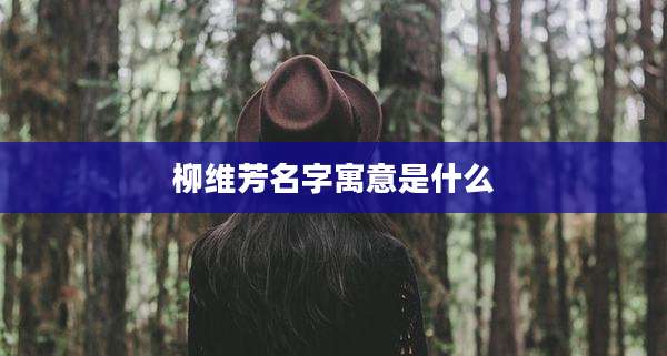 柳维芳名字寓意是什么