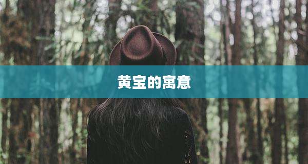 黄宝的寓意