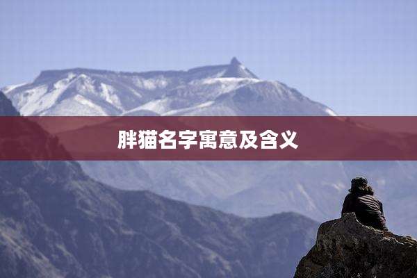 胖猫名字寓意及含义