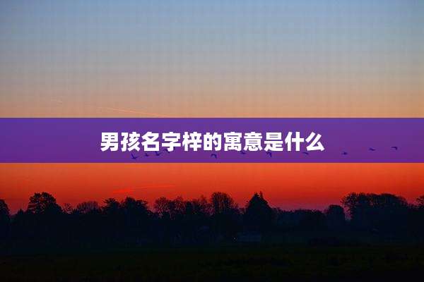 男孩名字梓的寓意是什么