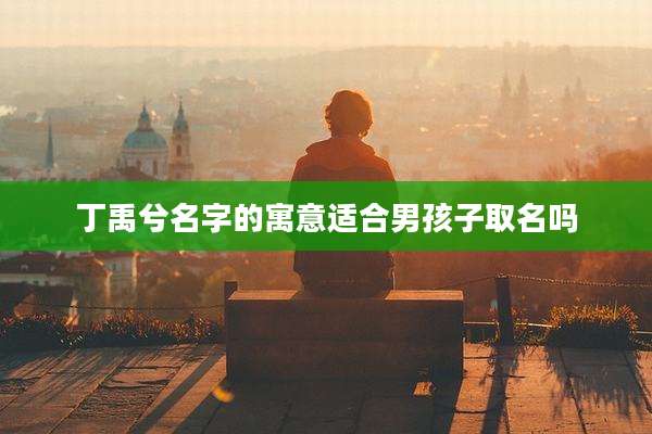 丁禹兮名字的寓意适合男孩子取名吗
