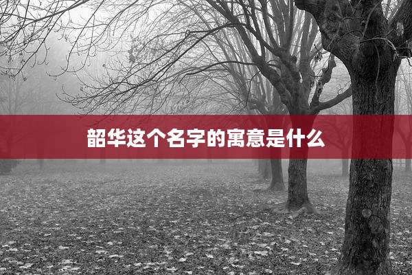 韶华这个名字的寓意是什么