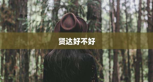 贤达好不好