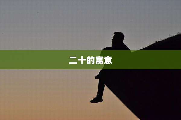 二十的寓意