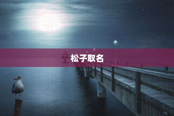 松子取名