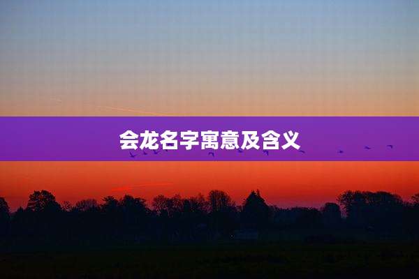 会龙名字寓意及含义